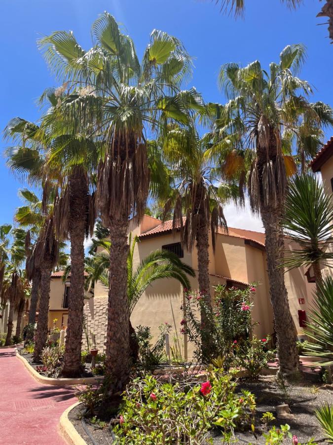 Surf And Chill Bungalow 70 Apartman Parque Holandes Kültér fotó