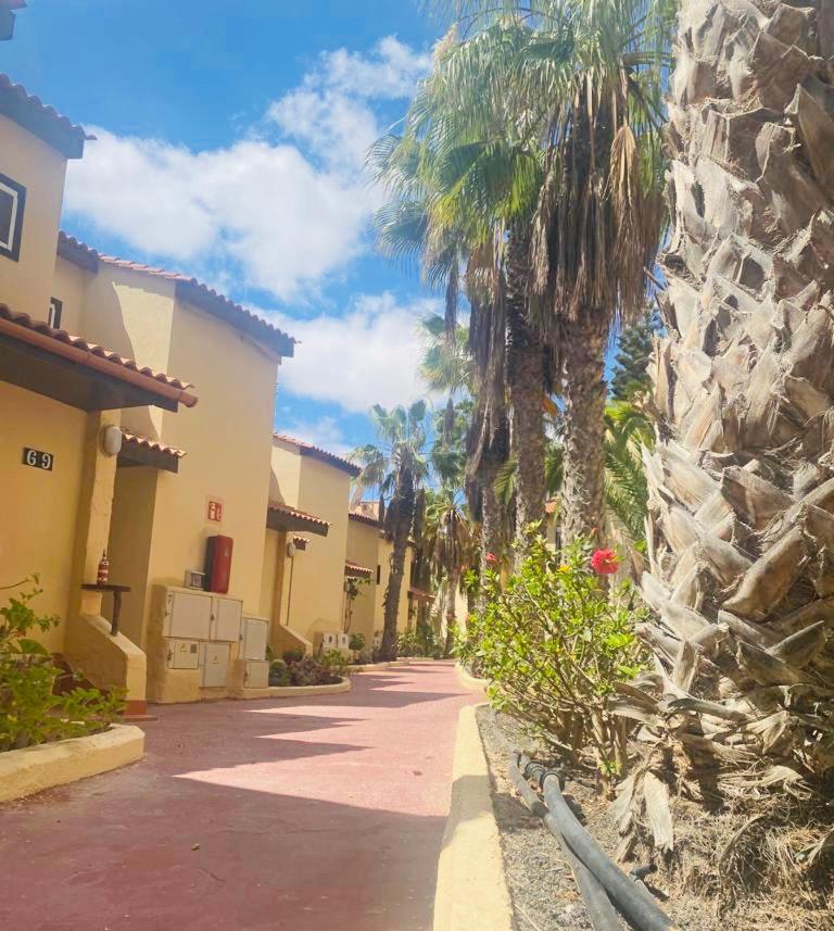 Surf And Chill Bungalow 70 Apartman Parque Holandes Kültér fotó
